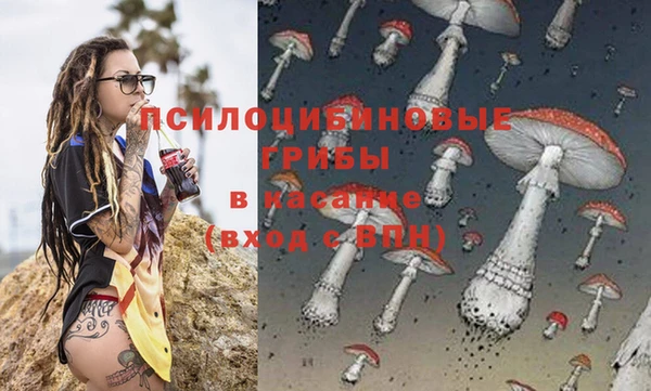 дурь Сосновоборск