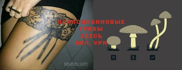 спиды Армянск
