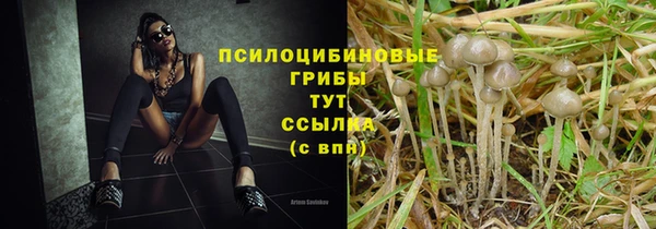 ПСИЛОЦИБИНОВЫЕ ГРИБЫ Аркадак