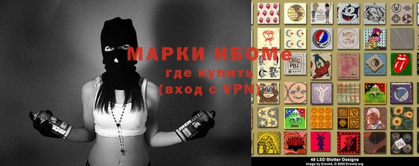 стаф Арсеньев