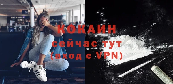 стаф Арсеньев