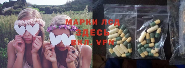 стаф Арсеньев