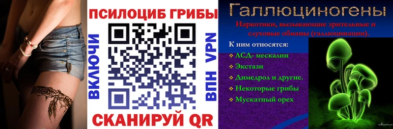 где купить наркотик  Волхов  Галлюциногенные грибы Cubensis 