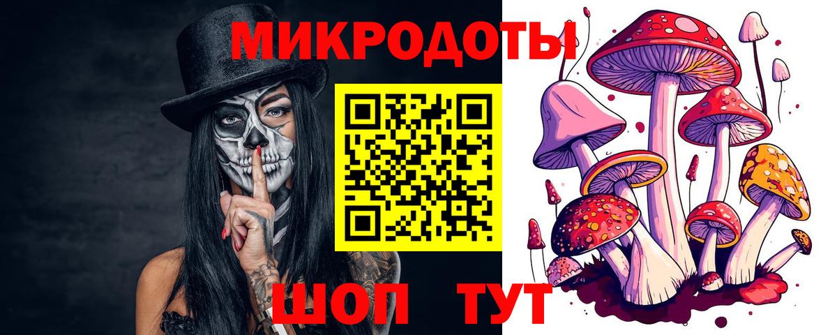 продажа наркотиков  Вход с VPN  Волхов  Псилоцибиновые грибы Magic Shrooms 