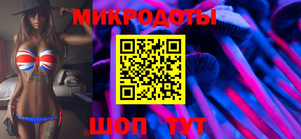 Псилоцибиновые грибы ЛСД Волхов