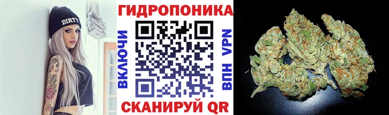 Бошки марихуана конопля  купить   Волхов 